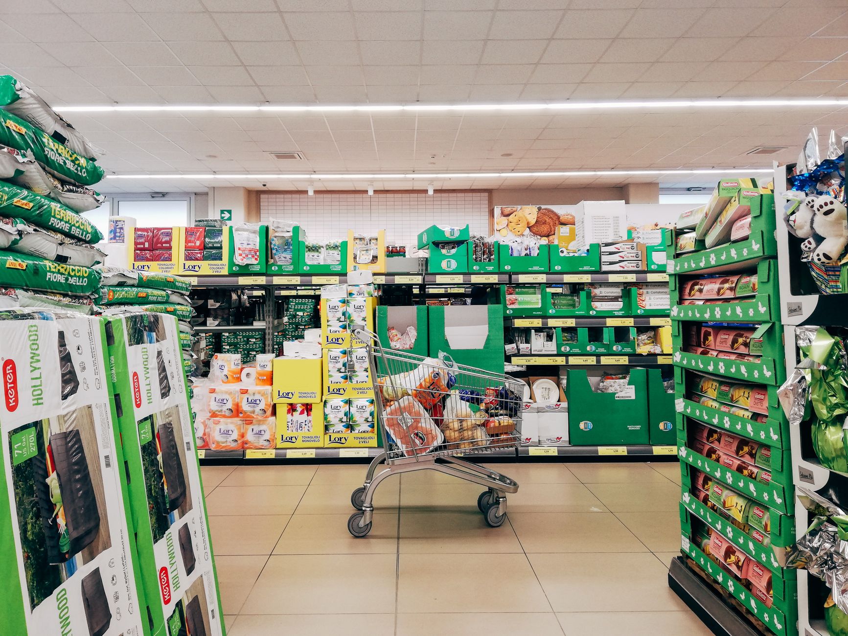 A grocery cart filled with essential food items, representing the 'Needs' category of the 50/30/20 budget.