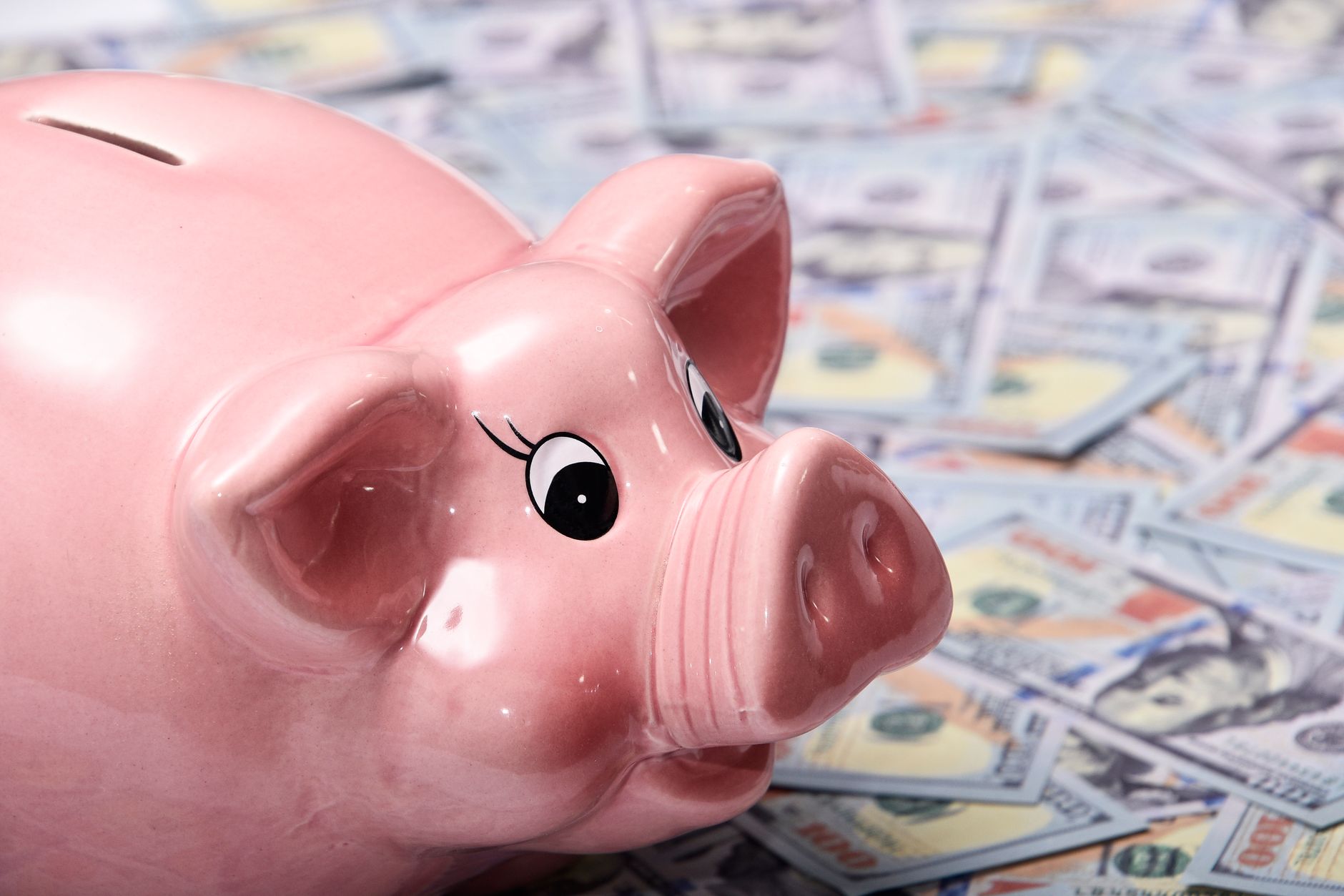 A glass jar filled with dollar bills and a small green plant growing out of the top, symbolizing wealth growth