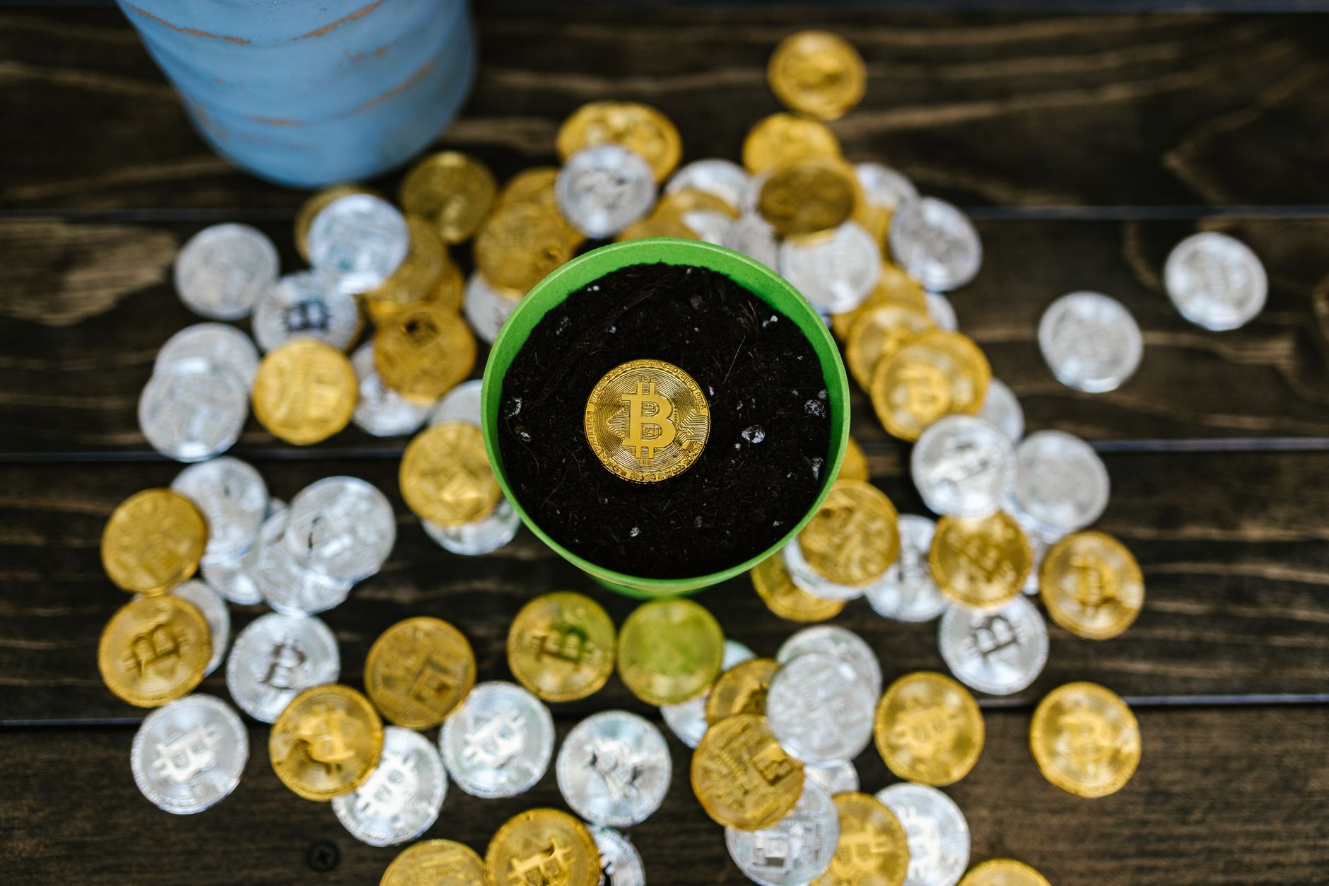 A small green sprout growing out of a pile of gold coins representing compound growth